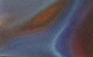 peacock.jpg