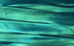 turquoise_oyster.jpg